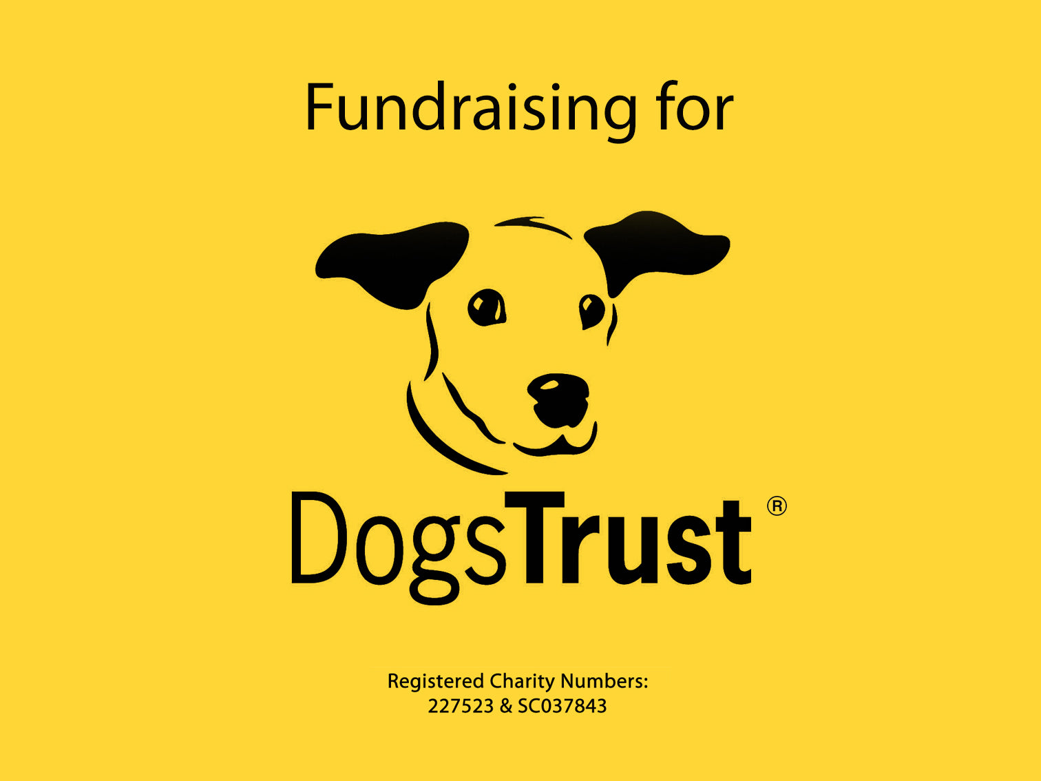 Supporting Dogs Trust paigesillustrations