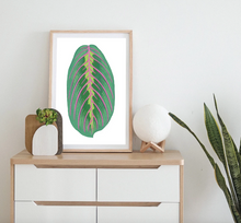 Load image into Gallery viewer, Prayer Plant Art Print