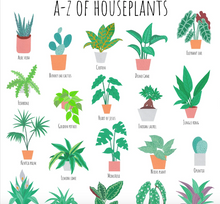 Load image into Gallery viewer, A-Z of Houseplants Art Print