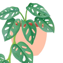 Load image into Gallery viewer, Monstera Monkey Mask Art Print