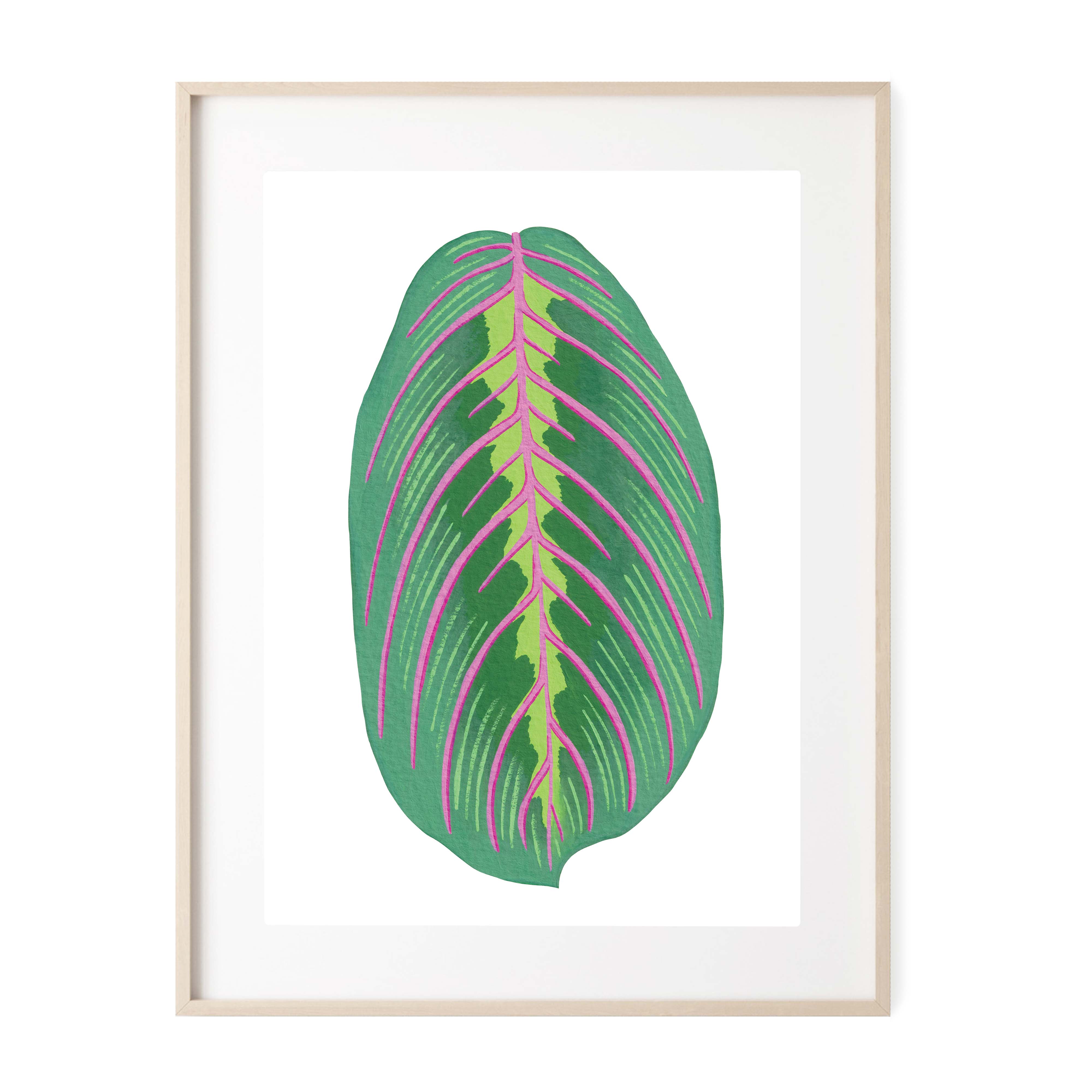painted prayer plant Prayer Plant Art Print – paigesillustrations